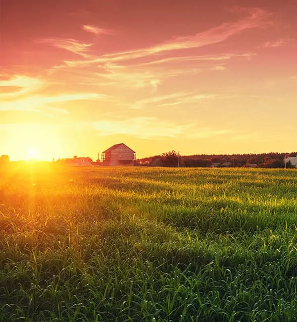 QC Supply farm and ranch country at sunset